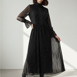 Elegant Black Sheer Maxi Dress